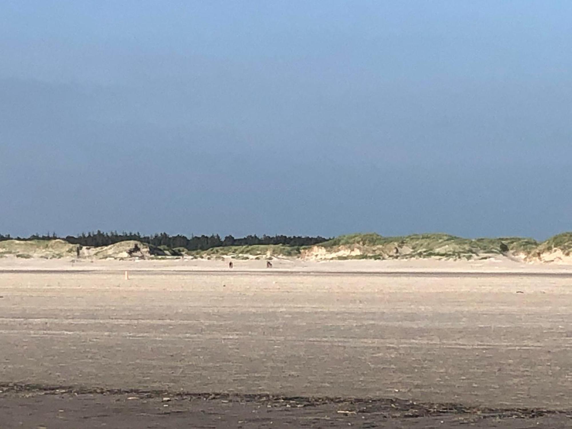 Haubarg alte Strandvogtei Westerhever Exterior foto